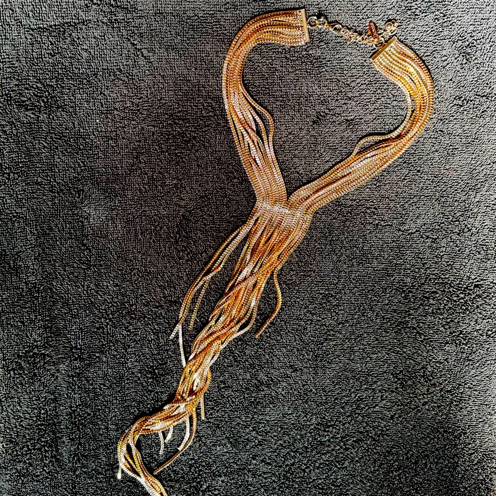 Rose Gold Fringe chain necklace